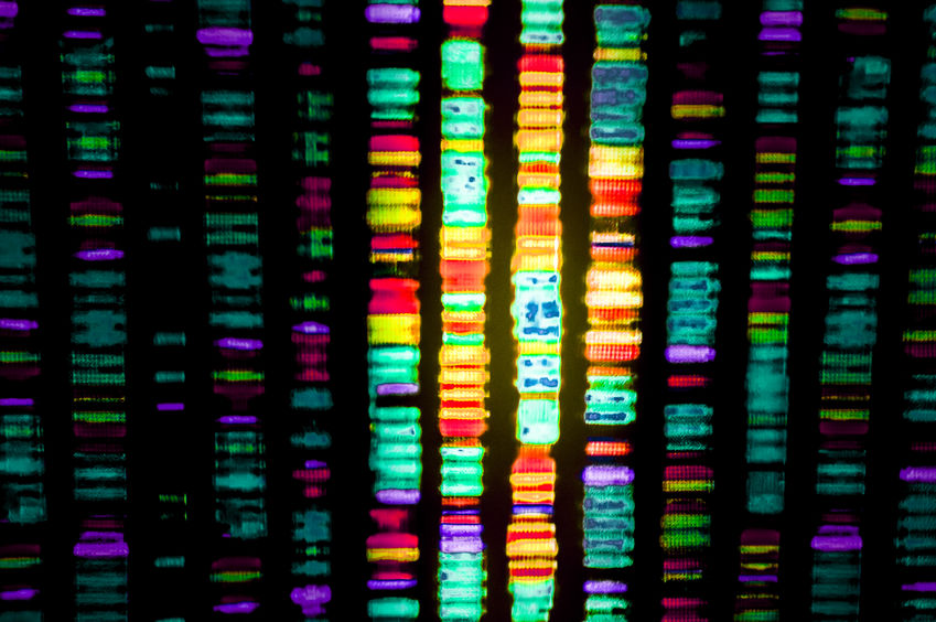 Epigenetic Testing Pattern