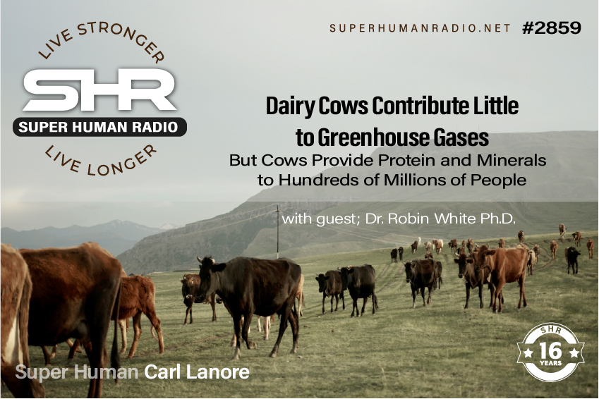 Dairy Cows Contribute Little to Greenhouse Gases But Provide Protein and Minerals to Millions