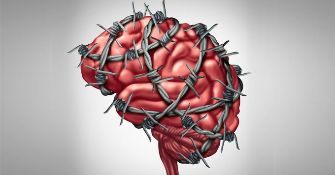 addict's brain