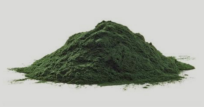 algae
