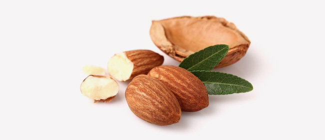 dried kernel of almonds