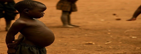 Severely malnourished? Whey beats soy yet again