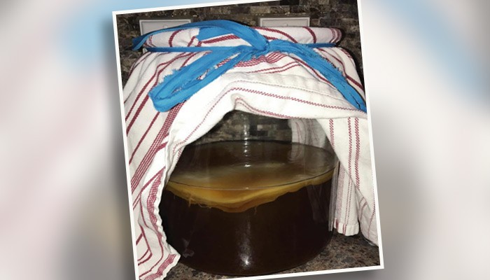 Home Made Kombucha