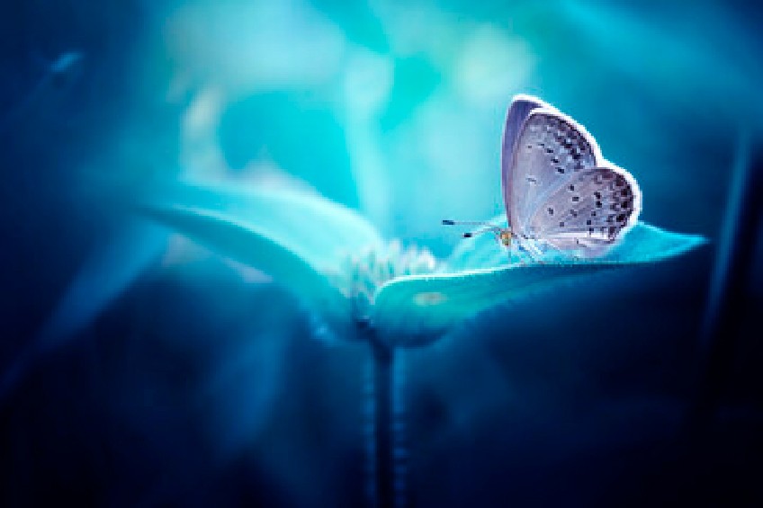 blogcover-100