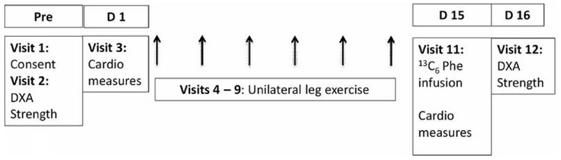 Cant_walk_fig1.jpg Study Outline