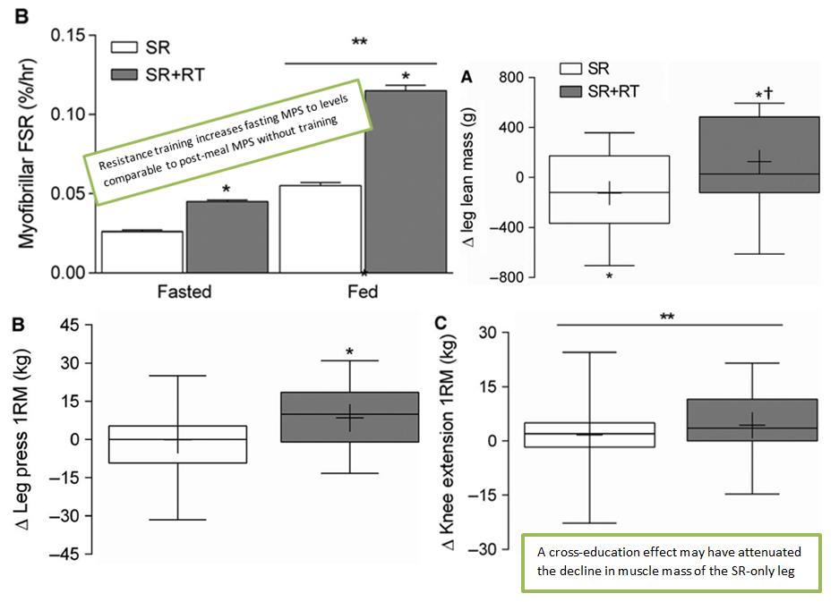 Cant_walk_fig2.jpg Changes in muscle protein synthesis, leg muscle mass, and leg strength after 2-weeks step reduction with (SR+RT) or without (SR) resistance training.