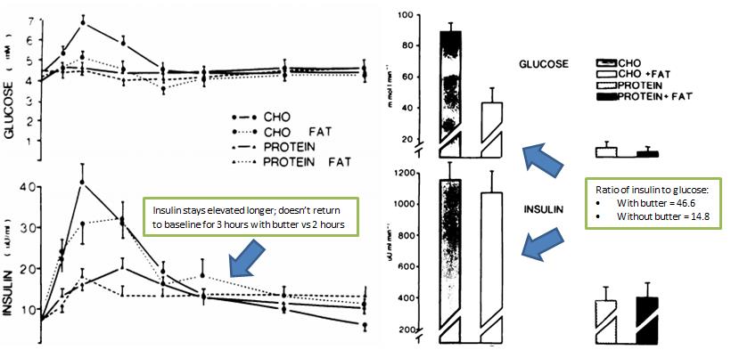 Fatty-carb_1.jpg