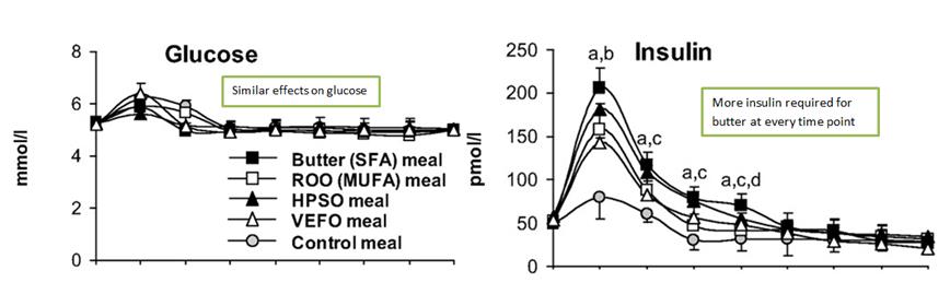 Fatty-carb_6.jpg