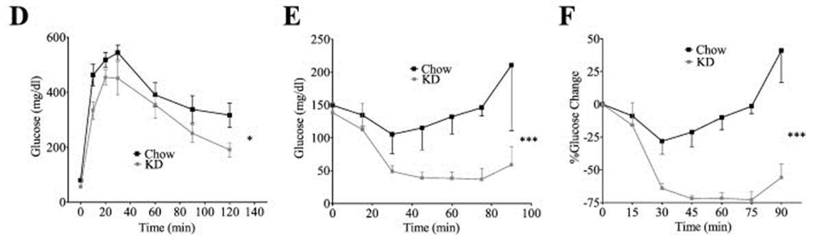 Keto_lifelong_fig3.jpg Blood glucose in response to a glucose-challenge test (A) and total blood glucose (E) and % change (F) after exogenous insulin administration in keto-fed and chow-fed mice.