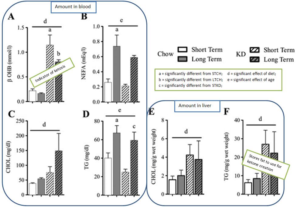 Keto_lifelong_fig4.jpg Beta-hydroxybutyrate (BOHB), non-esterfied fatty acid (NEFA), cholesterol (chol), and triglycerides (TG) in serum (A-D) and liver (E & F) in keto-fed and chow-fed mice.