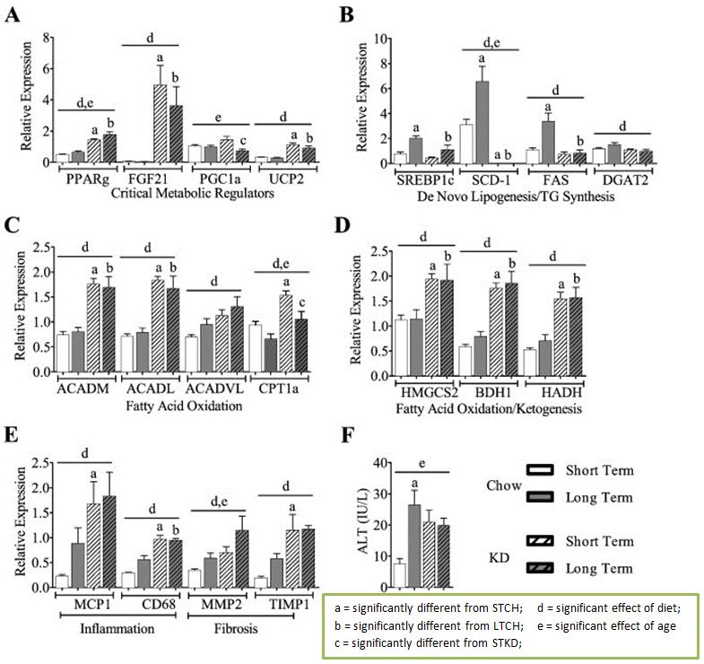 Keto_lifelong_fig5.jpg Gene expression in keto-fed and chow-fed mice