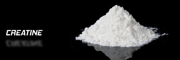 Creatine is good for the bones of postmenopausal women