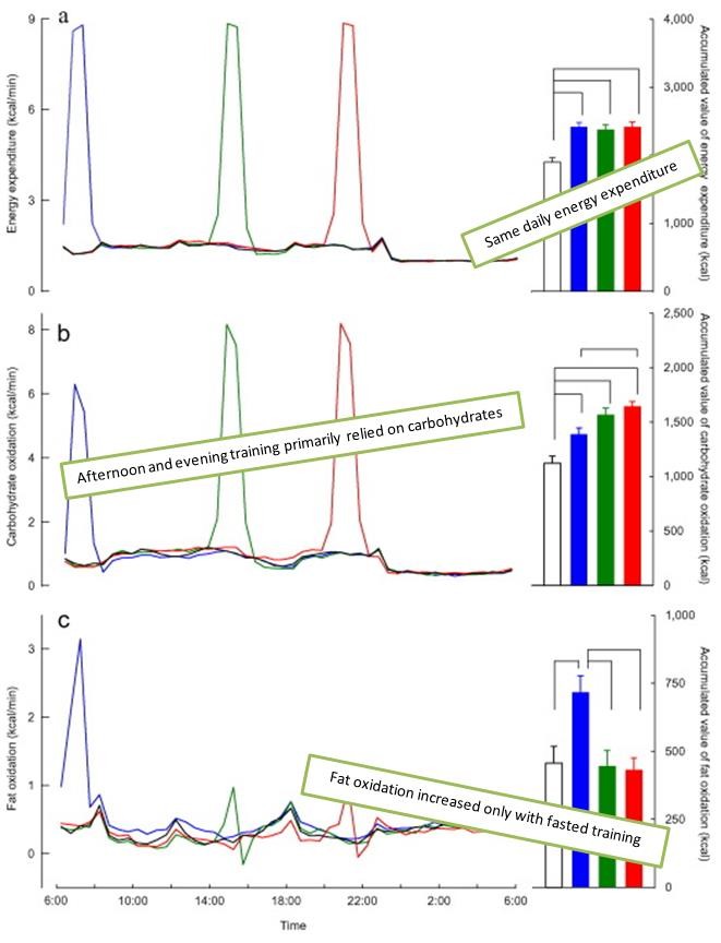 Figure 1: Time courses (lines) and accumulated values (bars) of energy expenditure (a), carbohydrate oxidation (b), and fat oxidation (c) for morning (blue), afternoon (green), evening (red), and control (black-white) trials. Statistically significant differences are connected by lines.