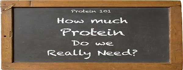 How much protein should I eat?