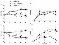 Changes in bodyweight (A), fat mass (B), lean-body mass (C), and the lean to fat mass ratio (D) every 9 weeks throughout the intervention. *Significantly different from zero (i.e., the change from before to after the intervention is significant). Values without a common letter are significantly different.