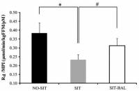 Whole-body insulin action (Rd/MPI) assessed during the continuous infusion of glucose across the 3 conditions.