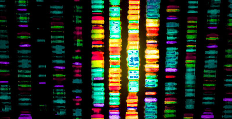 Epigenetic Testing Pattern