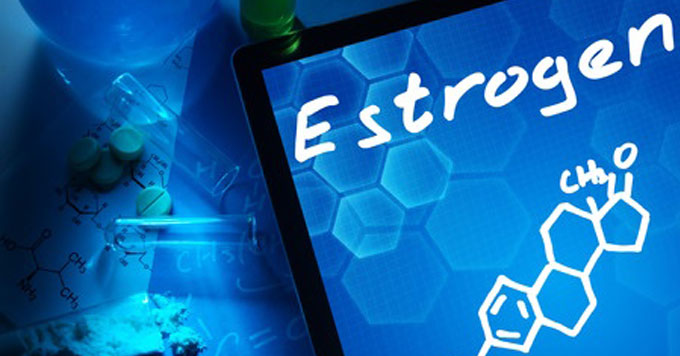 estrogen