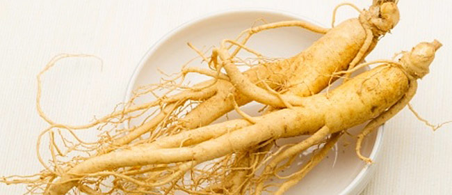 ginseng