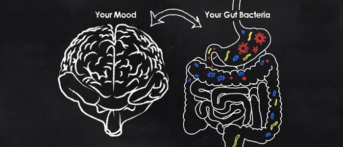mind and gut connection