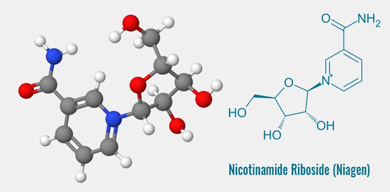 Nicotinamide Riboside (Niagen)