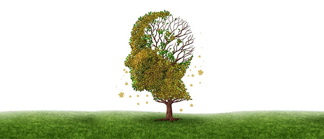 old brain