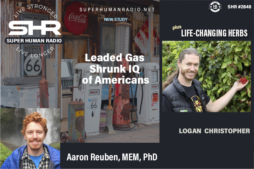 Leaded Gas Shrunk IQ of Americans