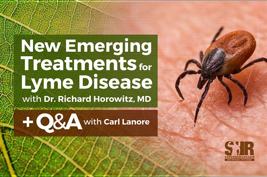 New Emerging Treatments for Lyme Disease
