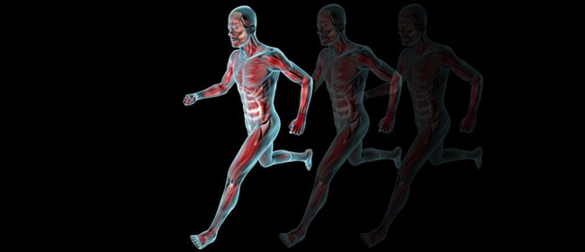 SHR # 2089 :: The BluePrint Power Hour + Properly Loaded Human Movement ::