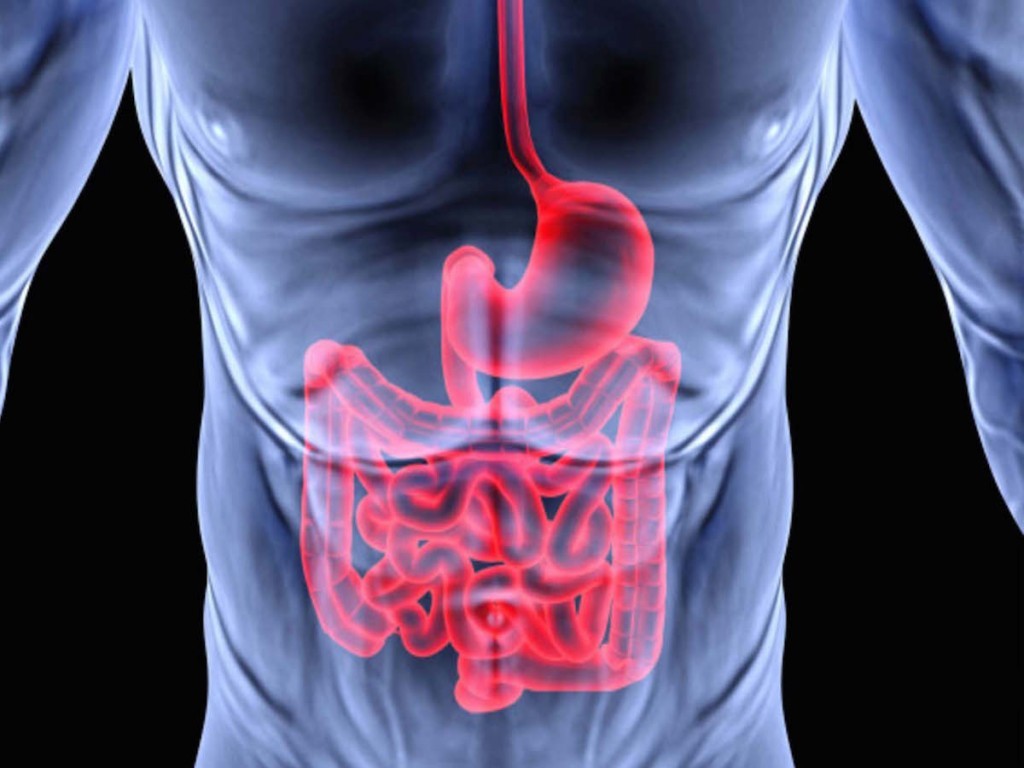 SHR # 2126 :: Random Rants &amp; Ramblings + The Gut: Your Body's Operating System ::