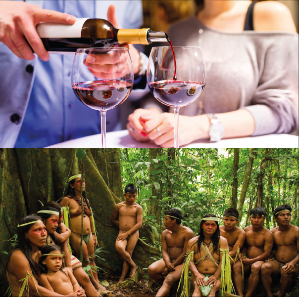 SHR # 2208 :: SFH: Any Alcohol Consumption Associated With Greater Risk of Cancer + What We Can Learn From 13 Different Hunter-Gatherer Populations ::
