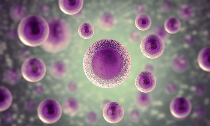 SHR # 2217 :: How Cells Deal With Environmental Toxins ::
