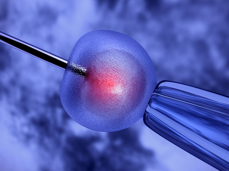 SHR # 2224 :: Advances in Anti-Aging Science ::