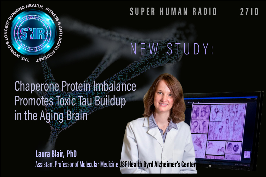 New Study: Chaperone Protein Imbalance Promotes toxic Tau Buildup in The Aging Brain