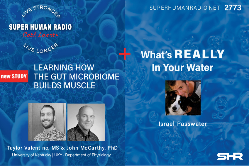 Learning How The Microbiome Builds Muscle