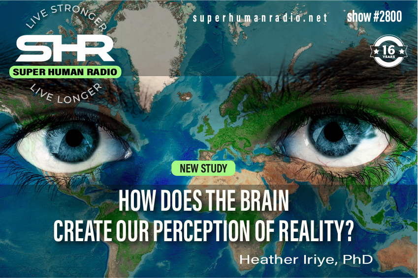 How Does The Brain Create Our Perception Of Reality?