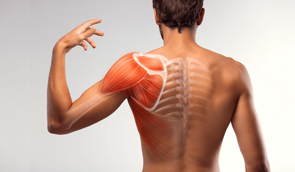SHR # 2349 :: A Deep Dive Into Rhabdomyolysis