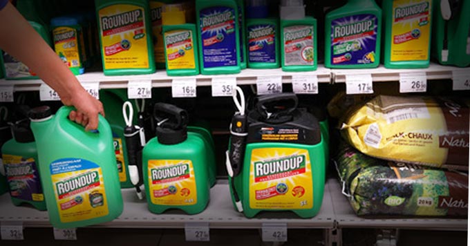 Roundup Glyphosate Herbicide