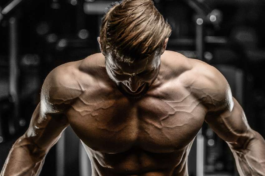 The Bodybuilding Diet and its Legacy