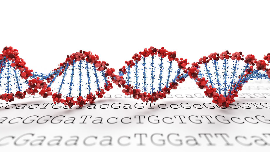 Epigenetic Testing Pattern
