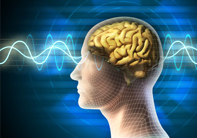 human brain illustration on a electromagnetic waves background