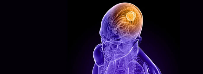 human brain xray illustration