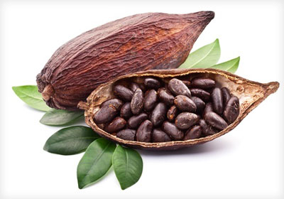 natural cocoa beans