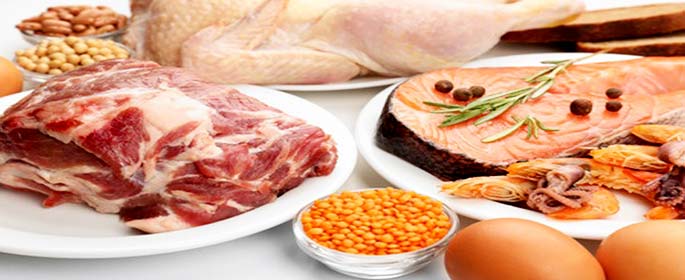 protein rich foods