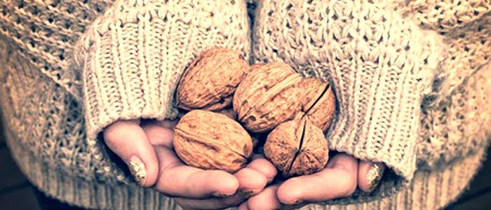 walnuts